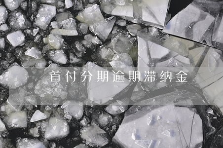 首付分期逾期滞纳金 首付分期逾期滞纳金