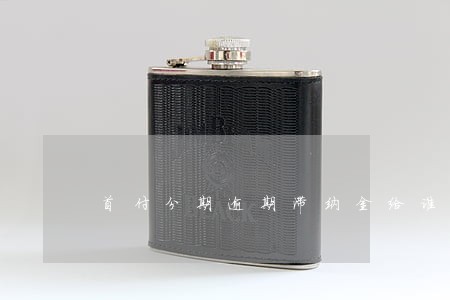 首付分期逾期滞纳金给谁了 首付分期逾期滞纳金给谁了