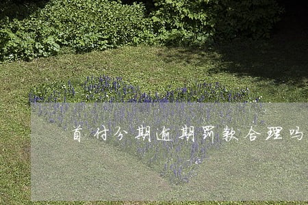 首付分期逾期罚款合理吗 首付分期逾期罚款合理吗