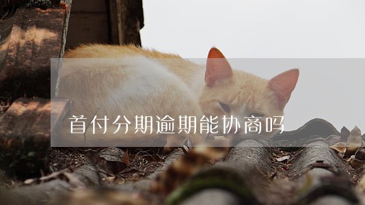 首付分期逾期能协商吗 首付分期逾期能协商吗