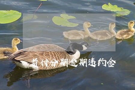 首付分期逾期违约金