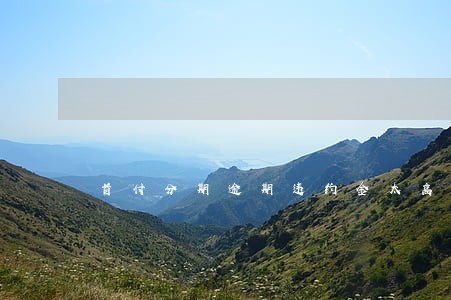 首付分期逾期违约金太高 首付分期逾期违约金太高