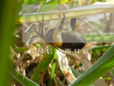 首付后逾期付款 首付后逾期付款
