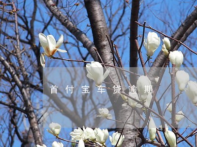 首付宝车贷逾期 首付宝车贷逾期