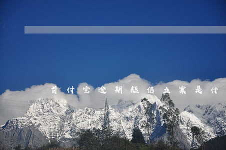 首付宝逾期短信立案是什么意思