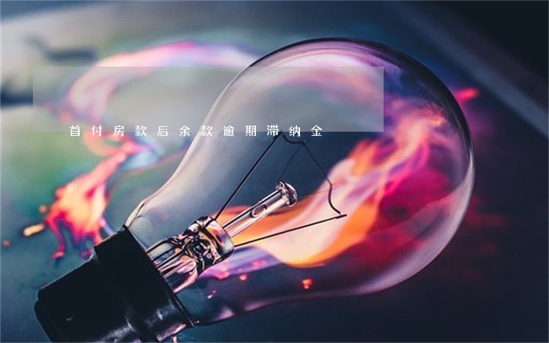 首付房款后余款逾期滞纳金 首付房款后余款逾期滞纳金