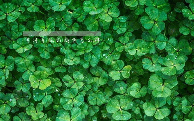 首付手机逾期会怎么样 首付手机逾期会怎么样