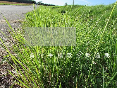 首付手機款分期逾期一天 首付手機款分期逾期一天