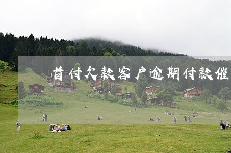 首付欠款客户逾期付款催办措施 首付欠款客户逾期付款催办措施