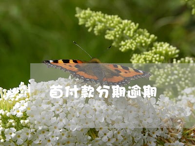 首付款分期逾期 首付款分期逾期