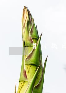 首付款因为疫情逾期了怎么办 首付款因为疫情逾期了怎么办