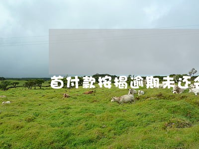 首付款按揭逾期未还会怎样 首付款按揭逾期未还会怎样