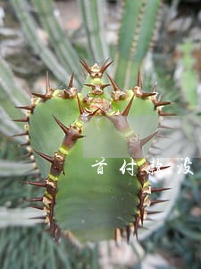 首付款没有逾期交付 首付款没有逾期交付