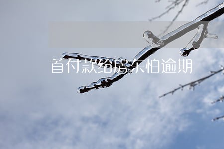 首付款给房东怕逾期 首付款给房东怕逾期