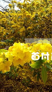 首付款逾期一天会怎么样 首付款逾期一天会怎么样
