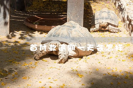 首付款逾期一天会怎样 首付款逾期一天会怎样