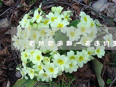 首付款逾期一天违约金 首付款逾期一天违约金