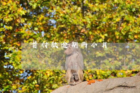 首付款逾期两个月 首付款逾期两个月