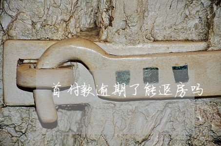 首付款逾期了能退房吗 首付款逾期了能退房吗