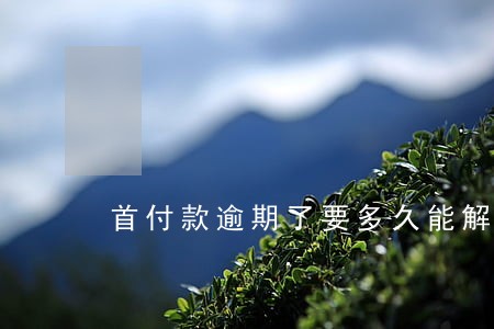 首付款逾期了要多久能解决 首付款逾期了要多久能解决