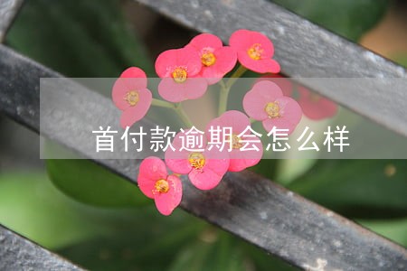 首付款逾期会怎么样 首付款逾期会怎么样