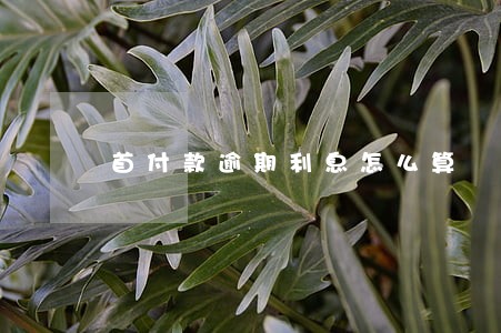 首付款逾期利息怎么算 首付款逾期利息怎么算