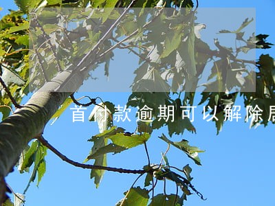 首付款逾期可以解除居间合同吗 首付款逾期可以解除居间合同吗