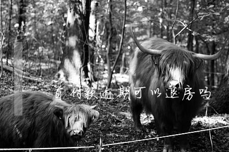 首付款逾期可以退房吗 首付款逾期可以退房吗