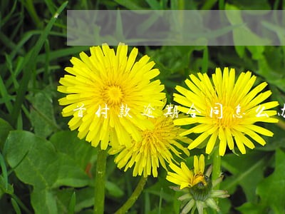 首付款逾期合同怎么办 首付款逾期合同怎么办