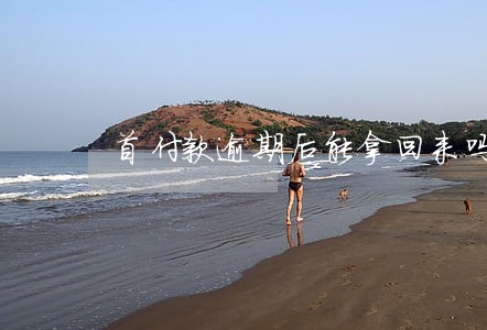 首付款逾期后能拿回来吗 首付款逾期后能拿回来吗