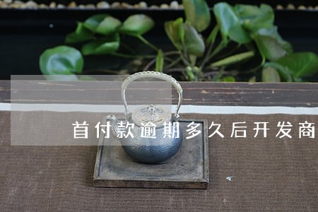 首付款逾期多久后开发商拒绝 首付款逾期多久后开发商拒绝