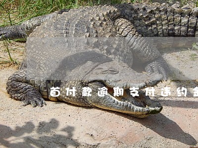 首付款逾期支付违约金的范围 首付款逾期支付违约金的范围