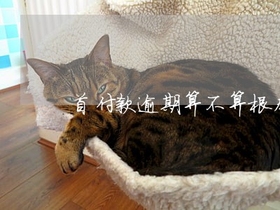 首付款逾期算不算根本违约