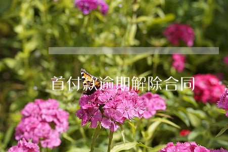 首付款逾期解除合同 首付款逾期解除合同