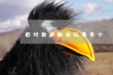 首付款逾期诉讼费多少