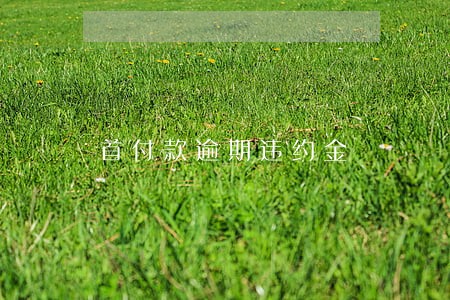 首付款逾期违约金