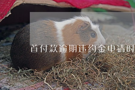 首付款逾期违约金申请时效 首付款逾期违约金申请时效