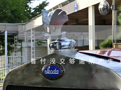 首付没交够逾期产生了滞纳金 首付没交够逾期产生了滞纳金