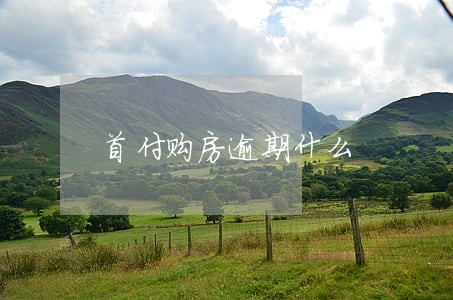 首付购房逾期什么 首付购房逾期什么