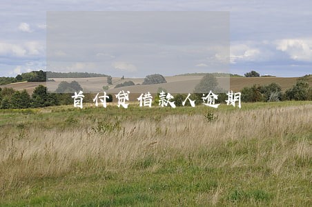 首付贷借款人逾期 首付贷借款人逾期