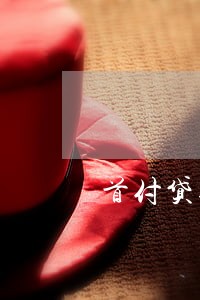 首付贷逾期一天会怎么样
