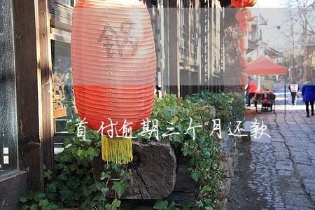 首付逾期三个月还款 首付逾期三个月还款