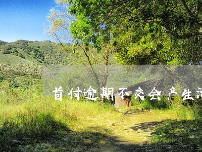 首付逾期不交会产生滞纳金吗