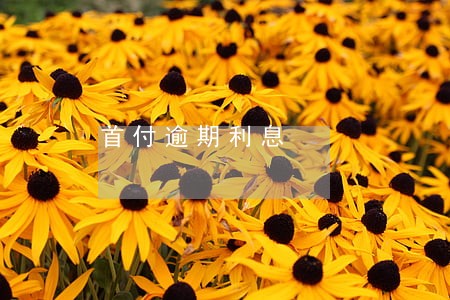 首付逾期利息 首付逾期利息