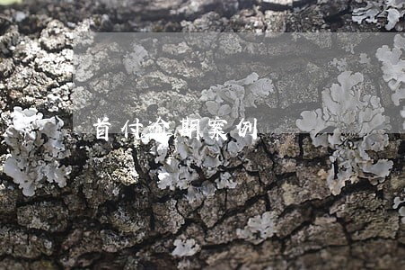 首付逾期案例 首付逾期案例