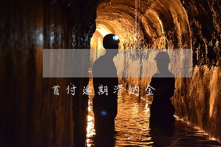 首付逾期滞纳金 首付逾期滞纳金