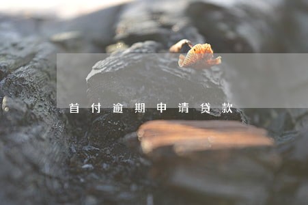 首付逾期申请贷款 首付逾期申请贷款