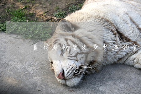 首付逾期要交多少违约金 首付逾期要交多少违约金