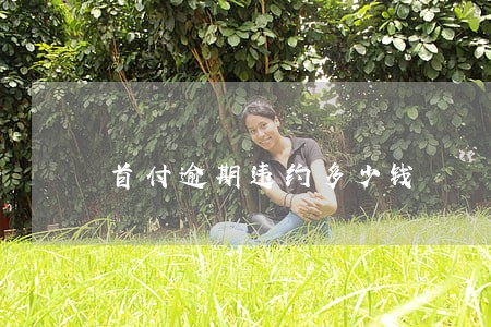 首付逾期违约多少钱 首付逾期违约多少钱
