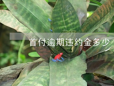 首付逾期违约金多少